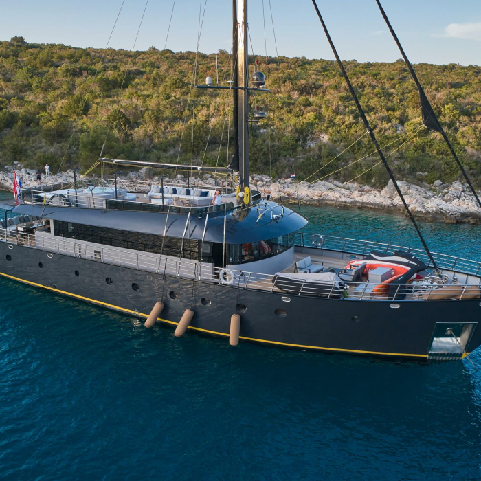Rara Avis | Luxury Sailing Yacht Rara Avis photo 1