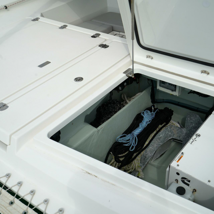 Manaphy | Leopard 45 photo 36