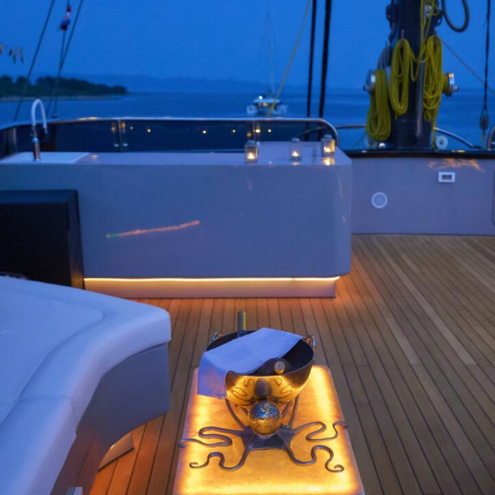 Rara Avis | Luxury Sailing Yacht Rara Avis photo 41