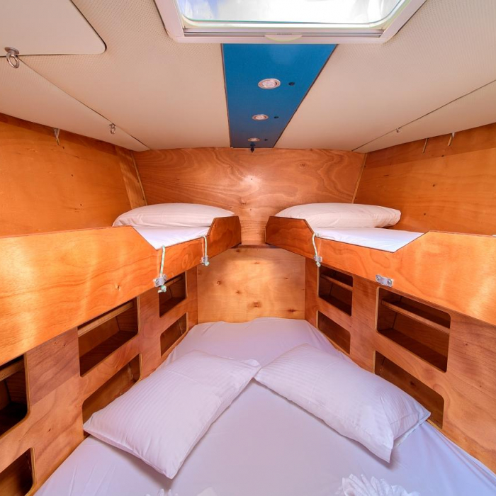 Amica | Dolphin 50 photo 9