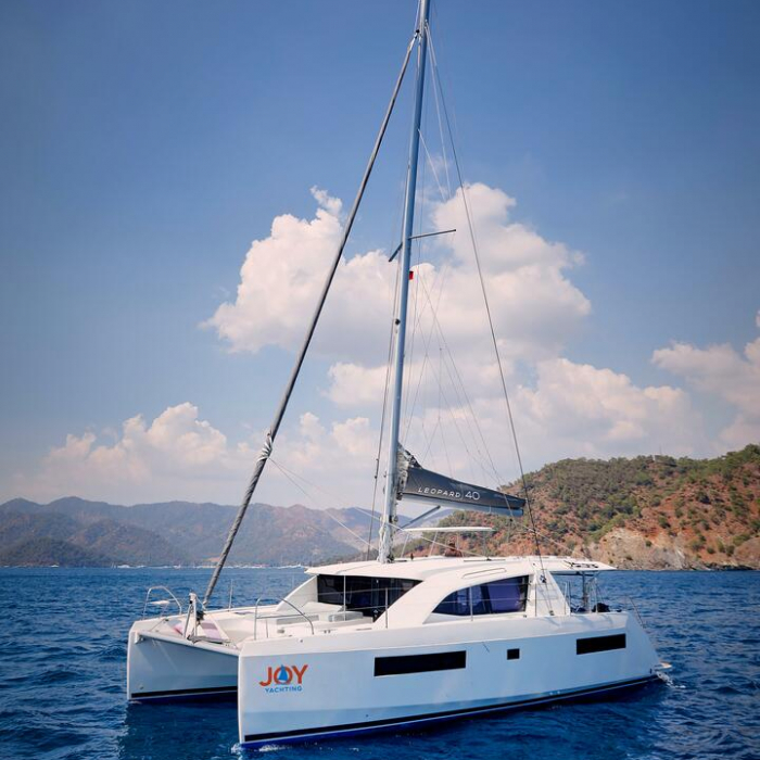 Panda Joy | Leopard 40 photo 3