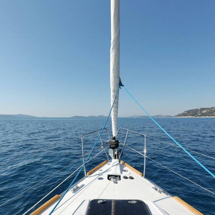 Black Panther | Elan Impression 40 photo 5