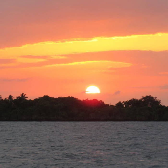 JAUDANIC III | Leopard 48 photo 38