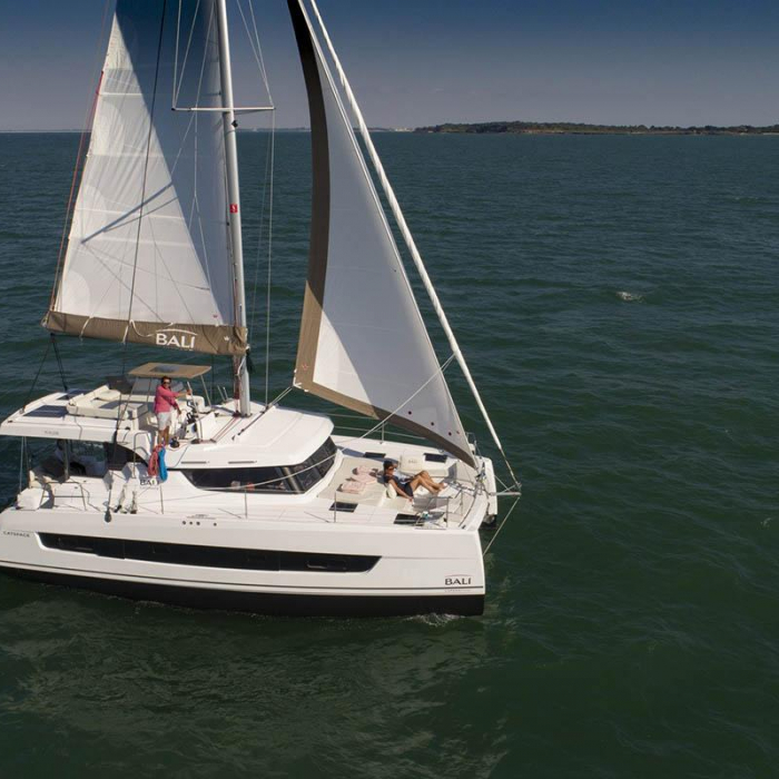 Miro Bot | Bali Catspace photo 2