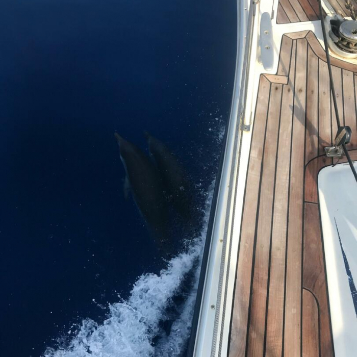 Hermes | Ocean Star 51.2 photo 8