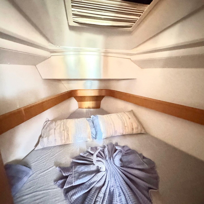 Che | Sun Odyssey 36i photo 5