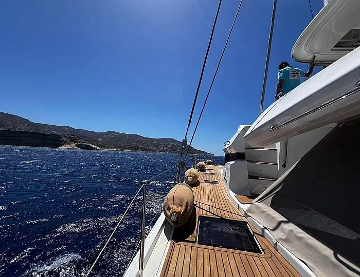 Cel | Lagoon 50 photo 14