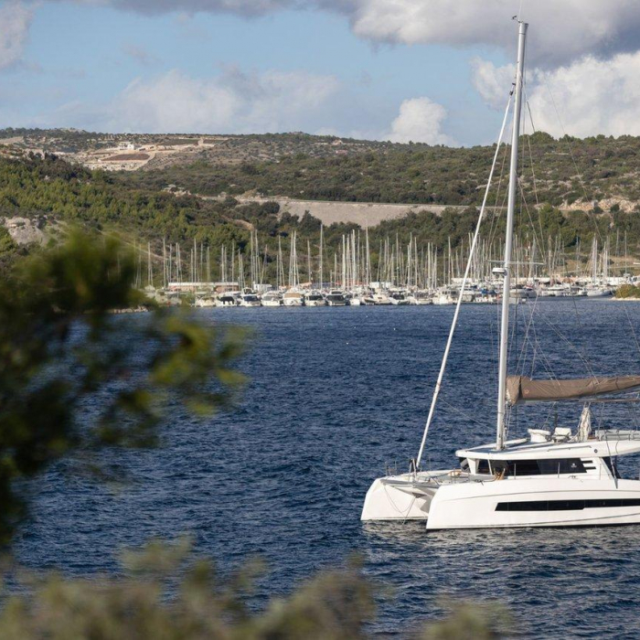 Du Du | Cervetti 44 photo 10