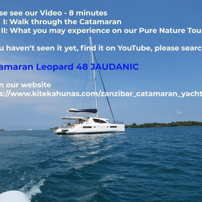 JAUDANIC III | Leopard 48 photo 47