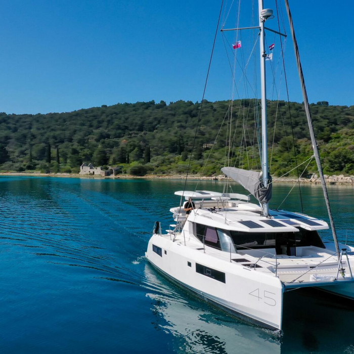 Manaphy | Leopard 45 photo 1