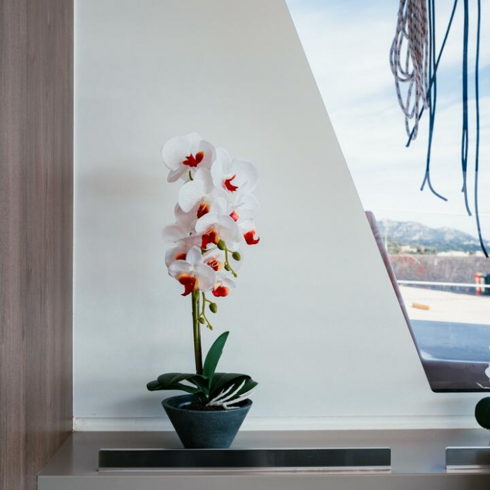 Alfa.bm2 | Bali 5.4 photo 40