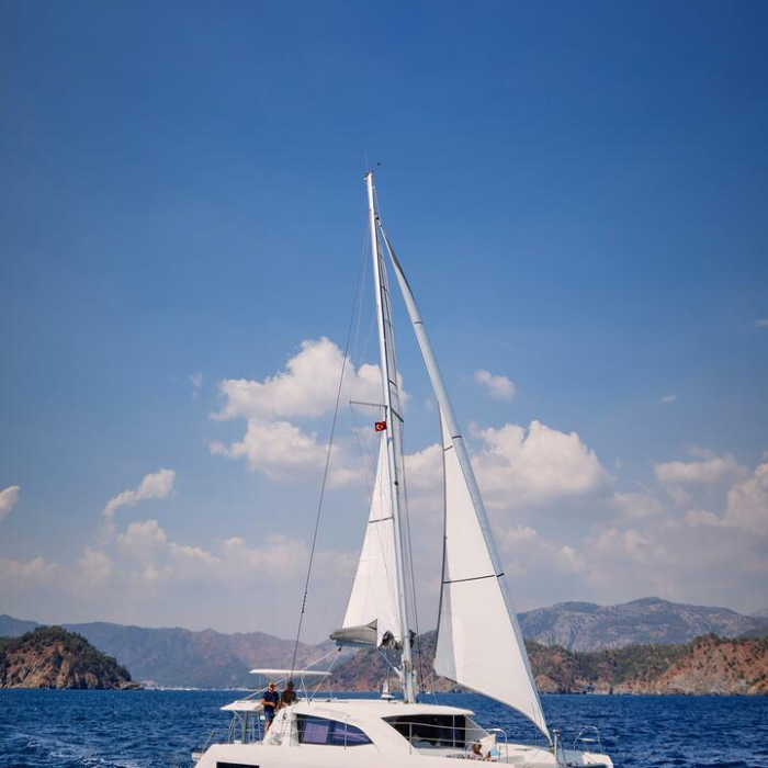 Panda Joy | Leopard 40 photo 1