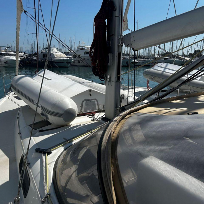 Drosera | Sun Loft 47 photo 3