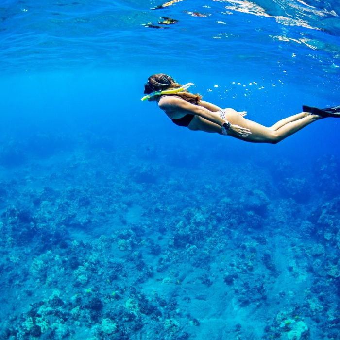 MGV Treaton | Elan 514 Impression photo 14