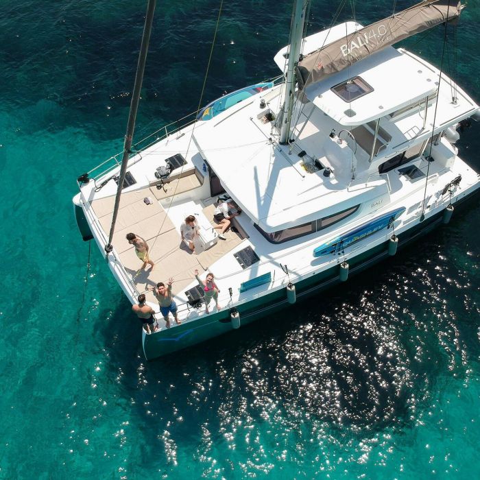 Grampus | Bali 4.6 photo 6