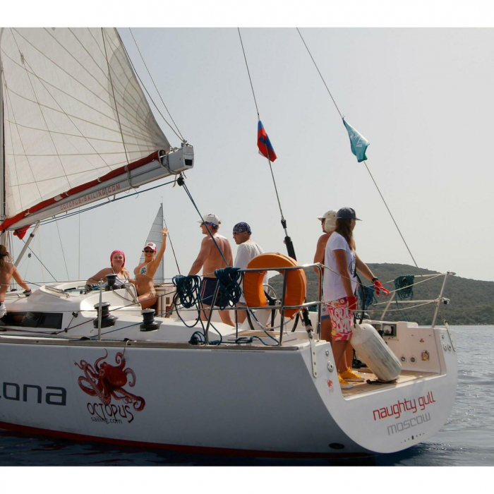 NAUGHTY GULL | Salona 41 Performance photo 1