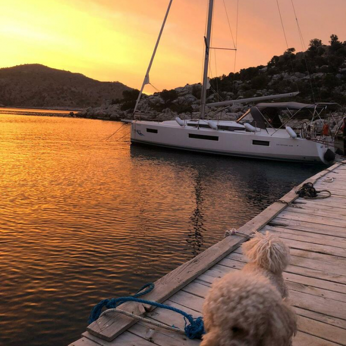 Yakamozi | Sun Odyssey 440 photo 6