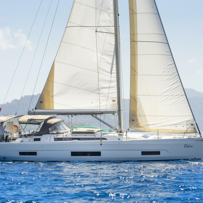 Robin | Dufour 470 photo 1