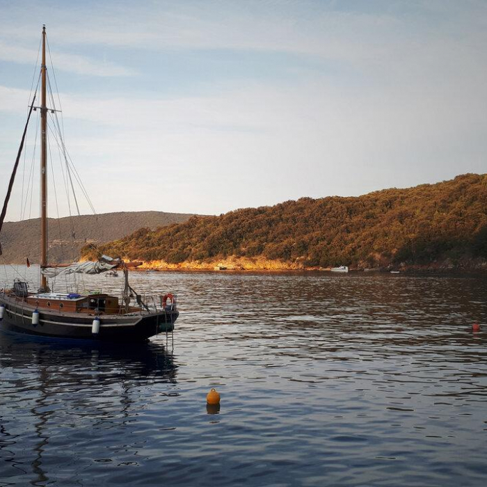 Black Bird | Pilot Cutter photo 7