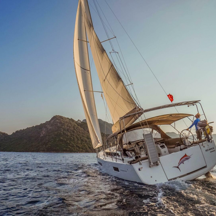 Red Marlin | Sun Odyssey 490 photo 5