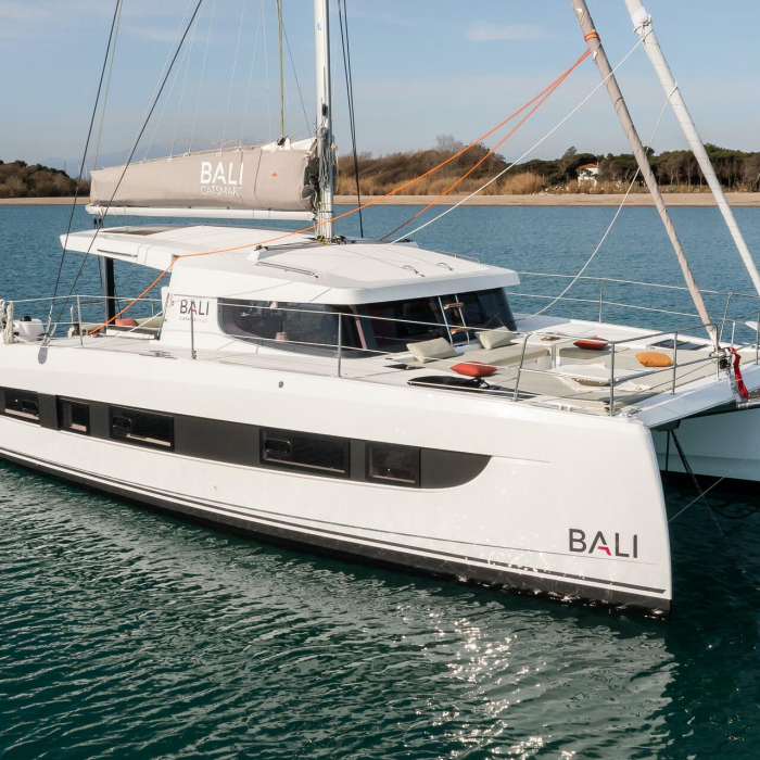 Gaja | Bali Catsmart OW photo 1