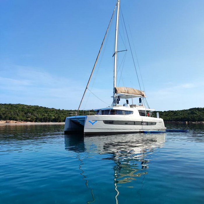 Grampus | Bali 4.6 photo 7