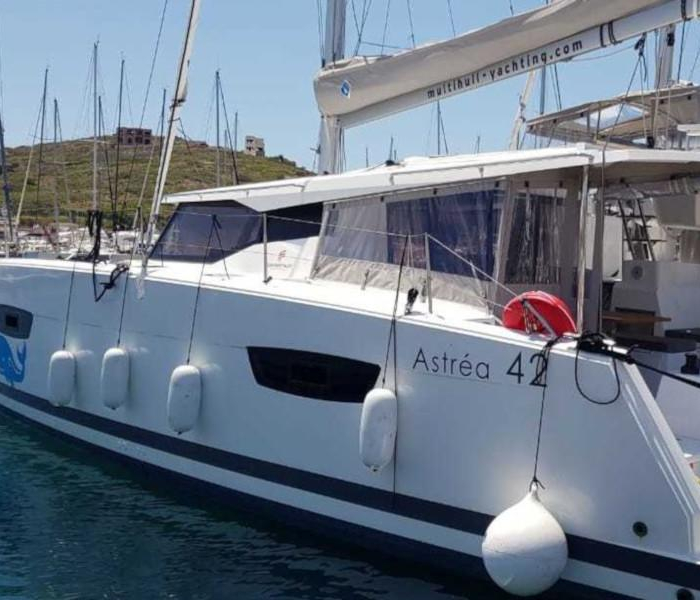 Wild Baleine | Astrea 42 photo 4