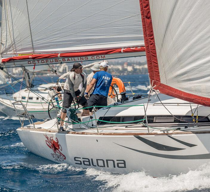 Race Dog | Salona 41 photo 2