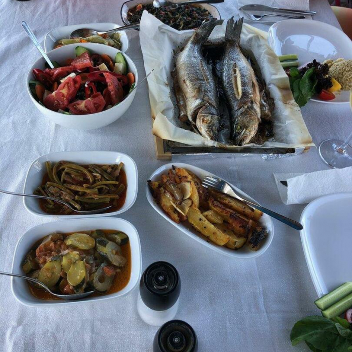 Tundra | Oceanis 48 photo 27