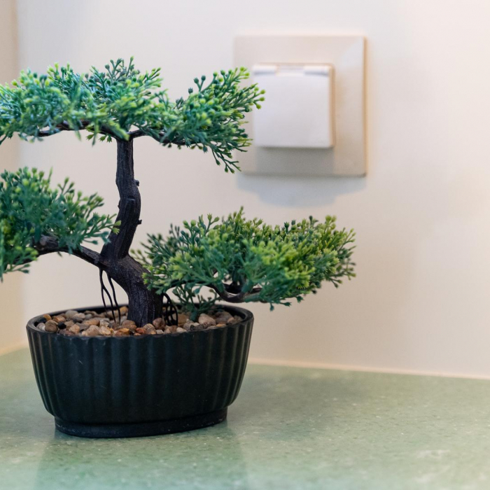 Blue | Luna 49 photo 45