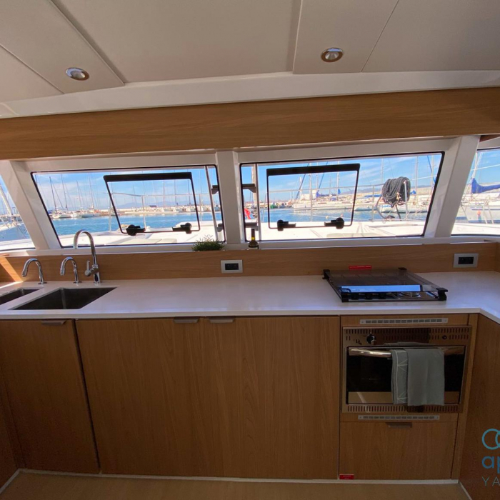 The Maestro Cat | Bali Catsmart photo 5