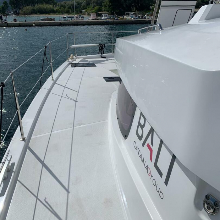 Timeless | Bali Catsmart photo 9