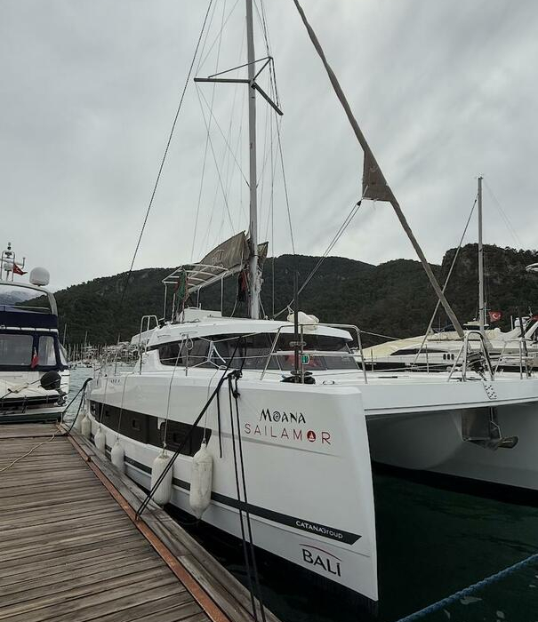 Moana 2 | Bali Catspace photo 6