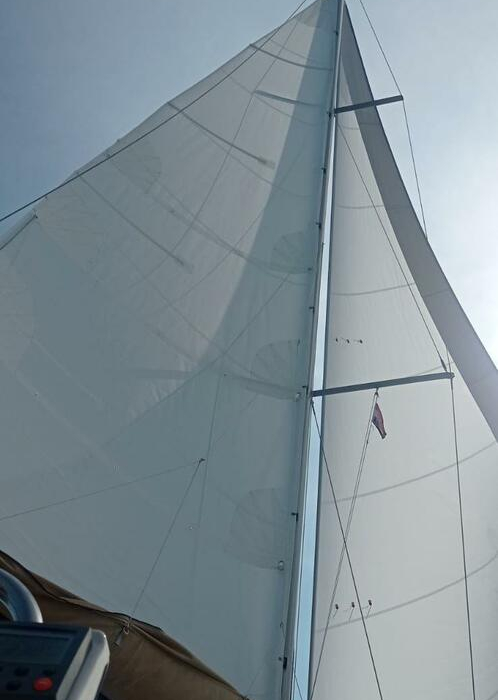 Tommy | Dufour 36 photo 2