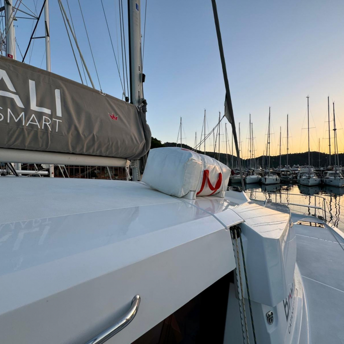 Sail Dorado | Bali Catsmart photo 3