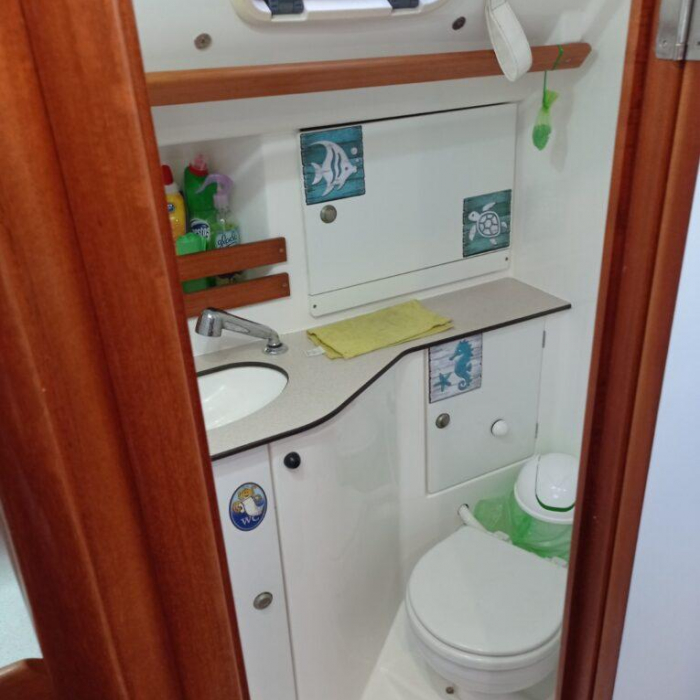 Tommy | Dufour 36 photo 10