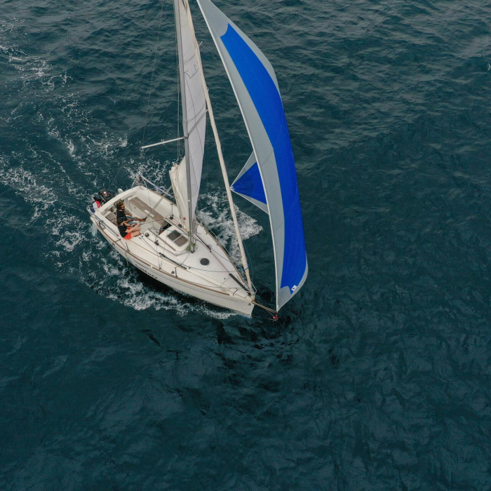 Chouchou 2 | First 21.7 photo 5