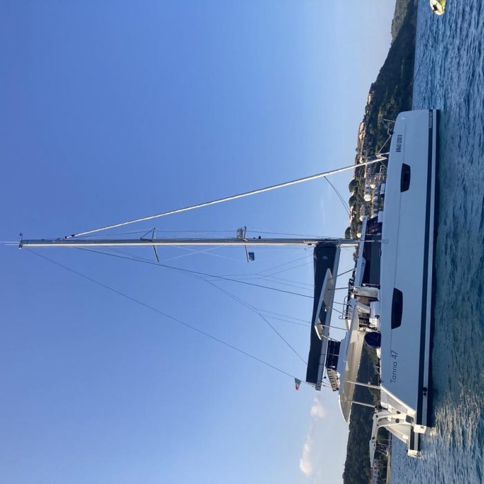 Blue Mandarin | Tanna 47 photo 3