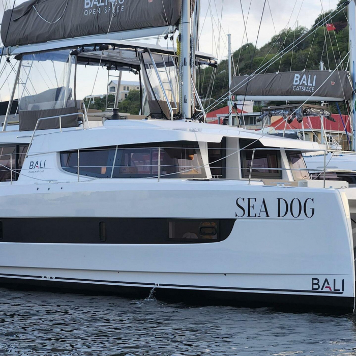 Sea Dog - FF | Bali 4.6 photo 2