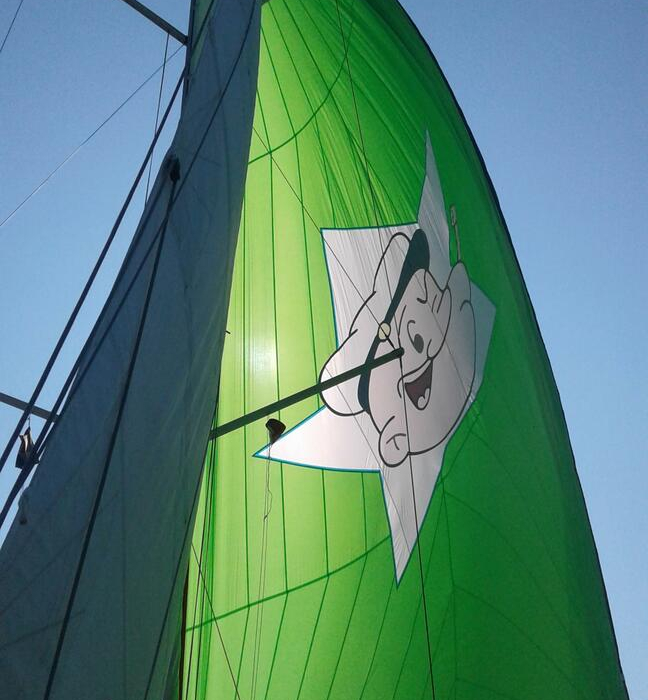 Popeye | Sun Odyssey 349 photo 8