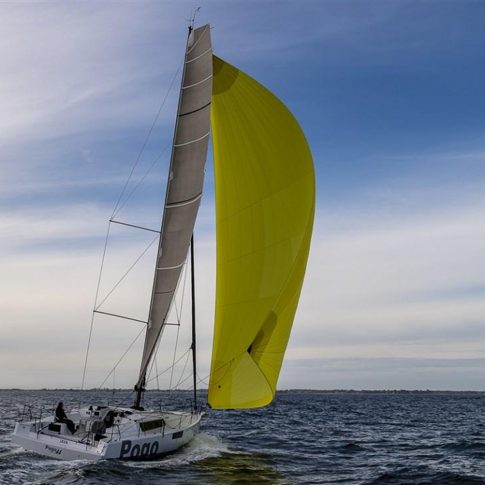 Tostaky | Pogo 44 photo 1