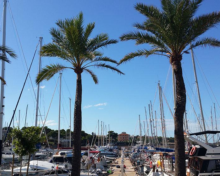 Tesoro | Bavaria Cruiser 40 photo 4