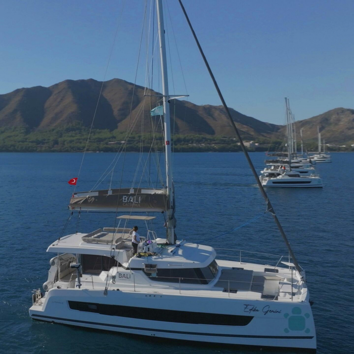 Gemini | Bali Catspace photo 1