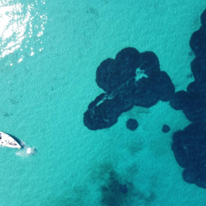 Naiada | Elan 384 Impression photo 31