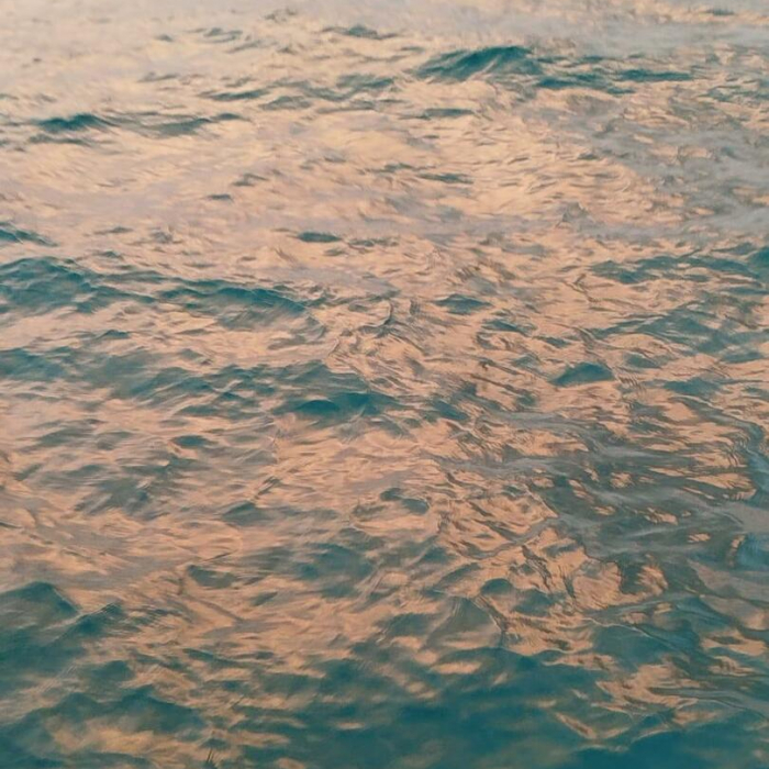 LOCO X | FP 44 photo 7