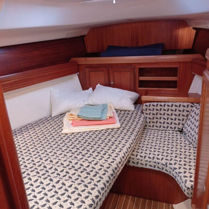 Tommy | Dufour 36 photo 6