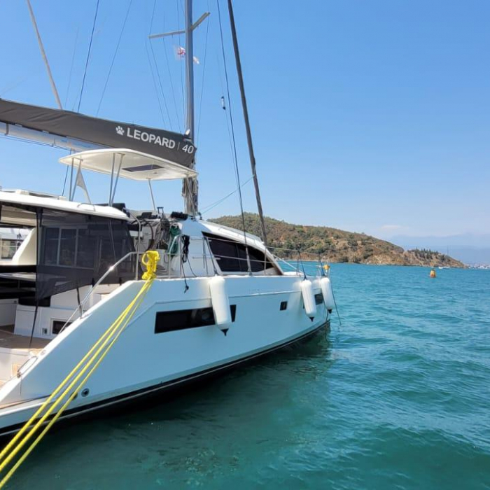 Panda Joy | Leopard 40 photo 10