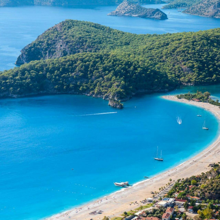 Moana | Bali Catspace photo 22