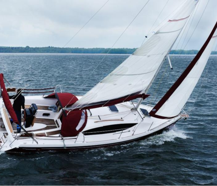 Wiktoria | Maxus 33.1 RS Prestige photo 2