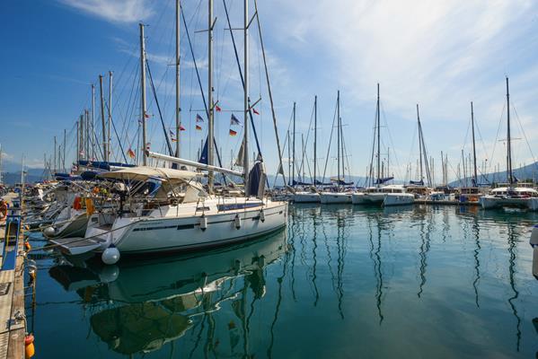 Kedi | Bavaria Cruiser 37 photo 12